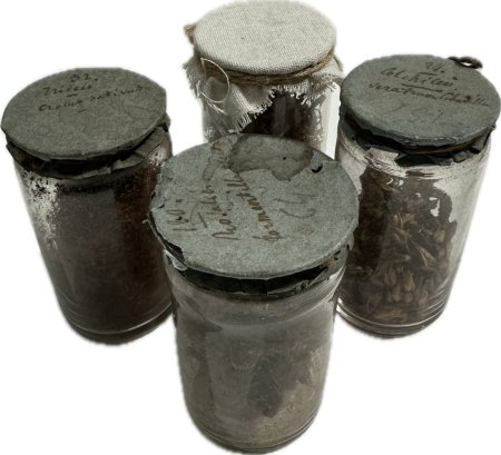 Dry Specimens in Jars priced individually